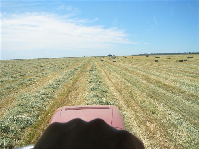 Ernte 23 (Kilometer)