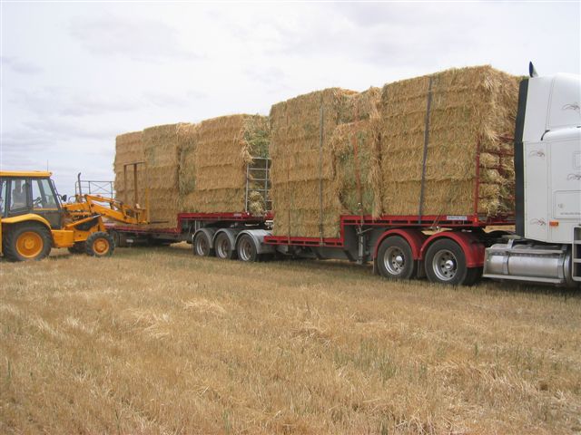 Hay Road Train Loaded