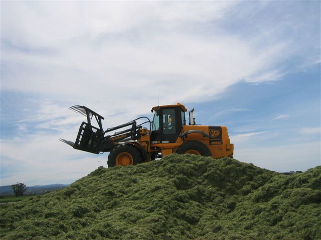 Where The Grass Is Green ...